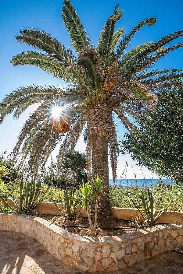 Sol Y Mar Hotel Playa Migjorn Spain